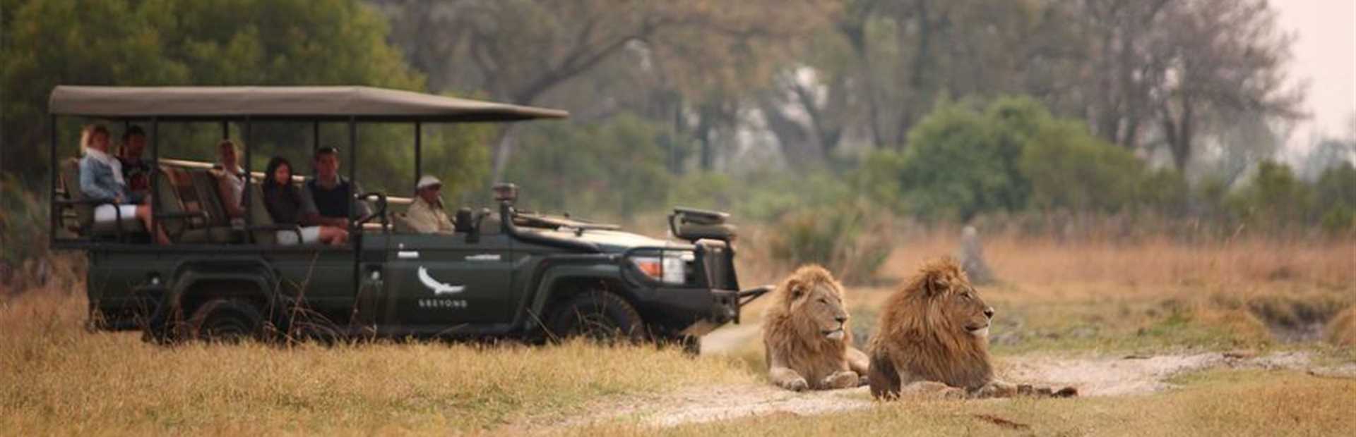 Sandibe Okavango Safari Lodge